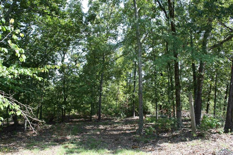 2372  CR 2993 Hughes Springs TX 75656 HUGHES-SPRINGS ISD