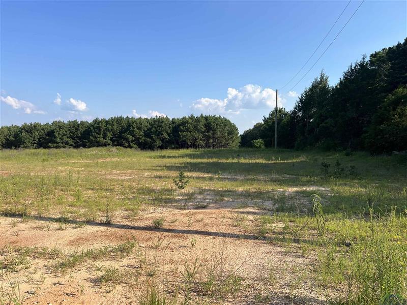Lot 11  Jacklyn Ln. Diana TX 75640 DIANA