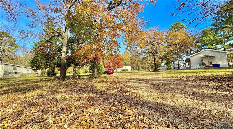 12299 N FM 782 Henderson TX 75652 TATUM