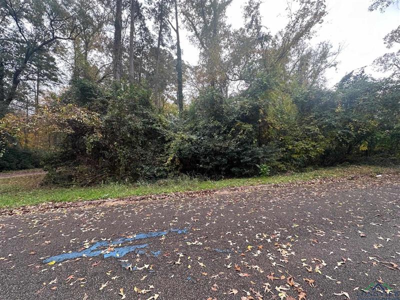 TBD  ASH Kilgore TX 75662 KILGORE