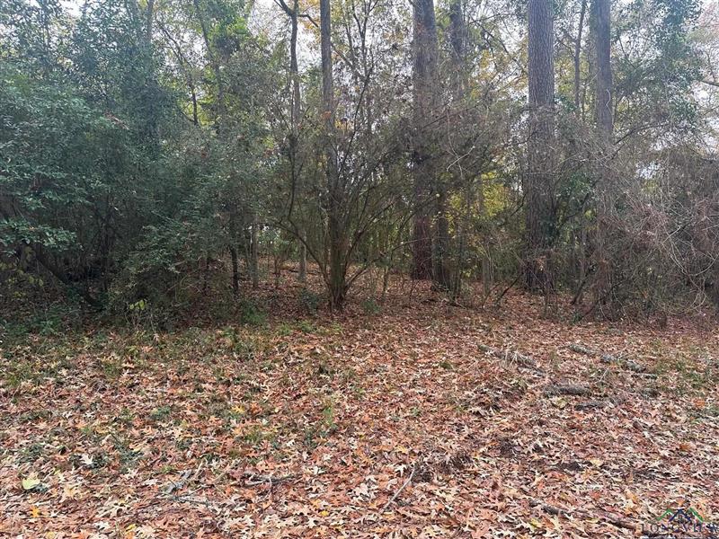 TBD  MOCKINGBIRD Kilgore TX 75662 KILGORE