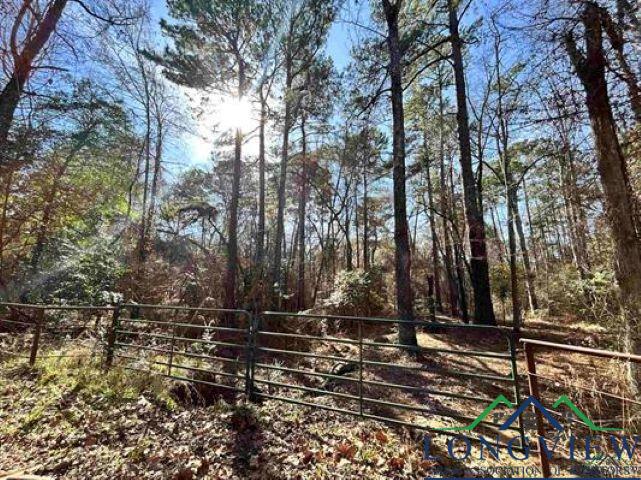 1395  Phillips Springs Gladewater TX 75647 GLADEWATER ISD