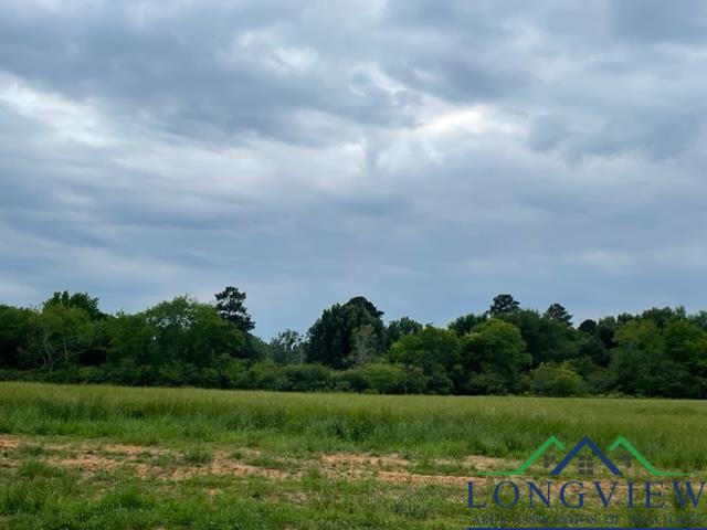 164  Brightside Trail Kilgore TX 75662 KILGORE ISD 442