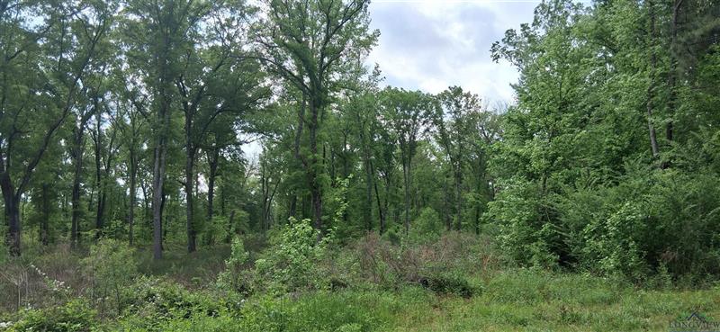 tbd  Cass County road 2925 Hughes Springs TX 75656 HUGHES-SPRINGS ISD