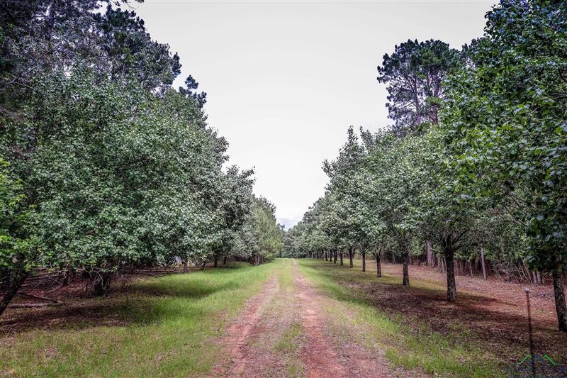 2188  HARKINS LN Marshall TX 75672 MARSHALL