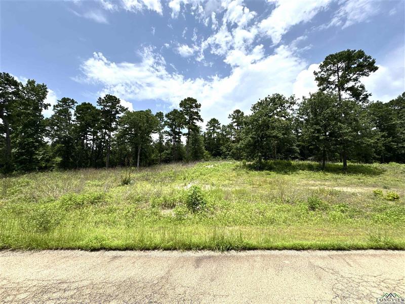 LOT 9  CR 3545 Hawkins TX 75765 HAWKINS