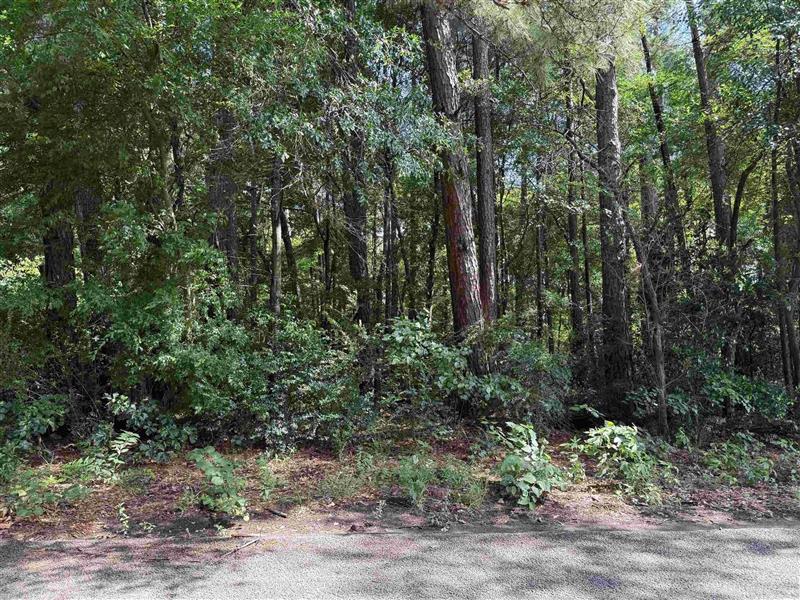 801  ETHEL ST Longview TX 75602 LONGVIEW