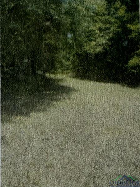 TBD  2nd Street Avinger TX 75630 LAKE O` PINES