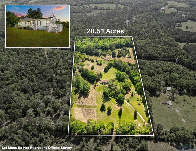 16193 S County Road 3167 Mount Enterprise TX 75681 OTHER