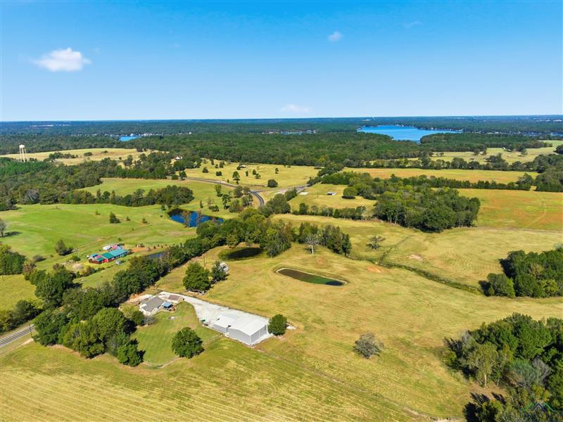 10495  FM 115 Scroggins TX 75480 MT VERNON ISD