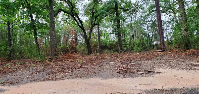 TBD  CR 336 Jasper TX 75951 OTHER