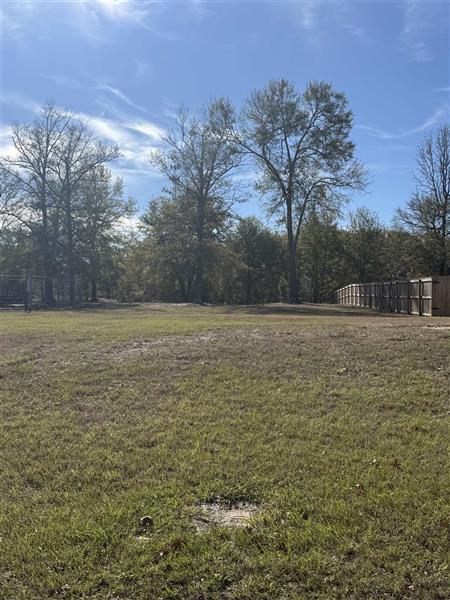 114  Blaine Trail Longview TX 75604 SPRING HILL