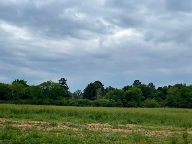 164  Brightside Trail Kilgore TX 75662 KILGORE ISD 442