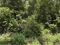   Sarber Road Jefferson TX 75657 JEFFERSON ISD