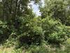   Sarber Road Jefferson, TX 75657 - JEFFERSON ISD