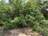   Sarber Road Jefferson, TX 75657 - JEFFERSON ISD