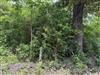   Sarber Road Jefferson, TX 75657 - JEFFERSON ISD