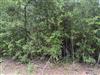   Sarber Road Jefferson, TX 75657 - JEFFERSON ISD