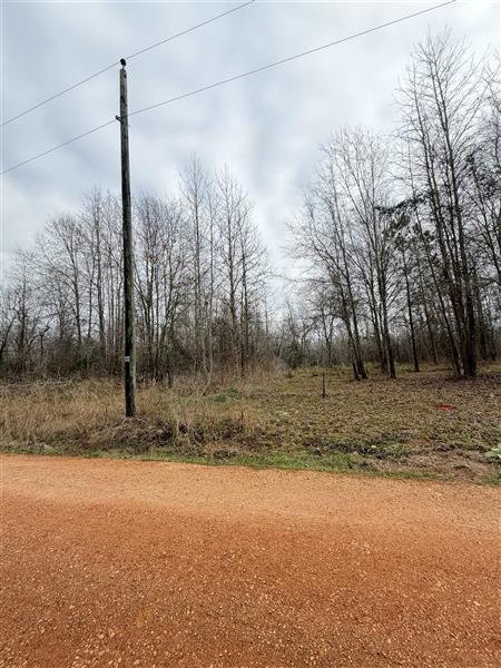 (LOT 4)  TBD SUNNYMEADOWS BLVD Tyler TX 75708 OTHER