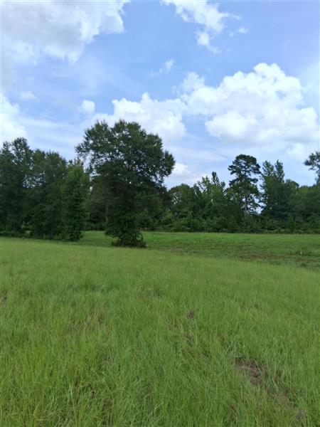 tbd  county road 4117 Hughes Springs TX 75656 HUGHES-SPRINGS ISD