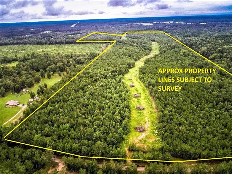 150 AC  COUNTY ROAD 433 Carthage TX 75633 CARTHAGE