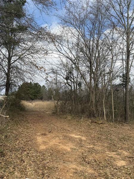10944  CR 3220 Tyler TX 75708 OTHER