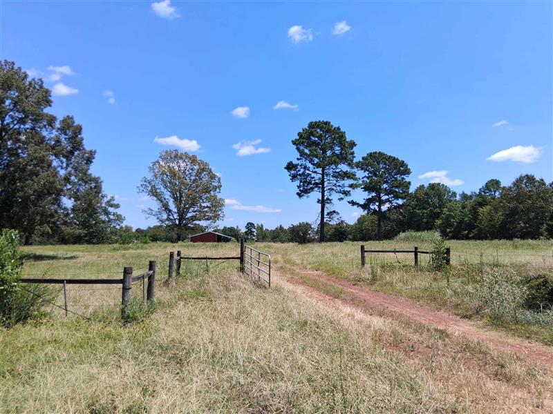 tbd  county road 4117 Hughes Springs TX 75656 Daingerfield/Lone Star