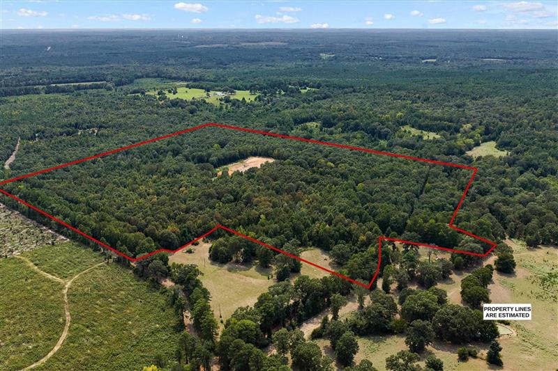 Tbd  Cass county 1579 Avinger TX 75630 AVINGER ISD