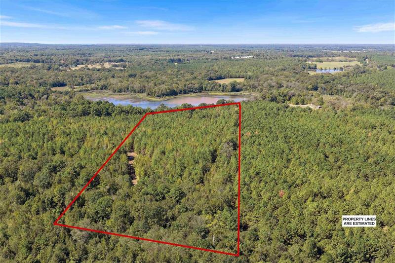 TBD N FM 161 Hughes Springs TX 75656 CASS COUNTY