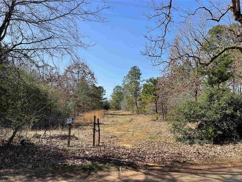TBD  Zinnia Road Diana TX 75640 NEW DIANA