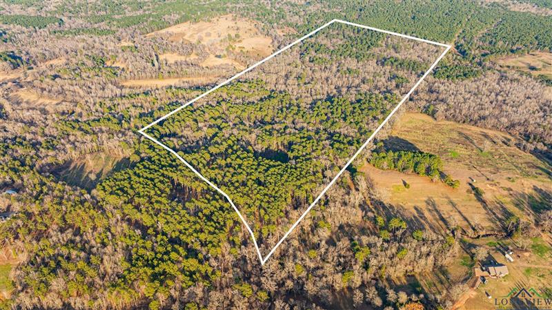 TBD  Jasmine Road Gilmer TX 75644 GILMER ISD 332