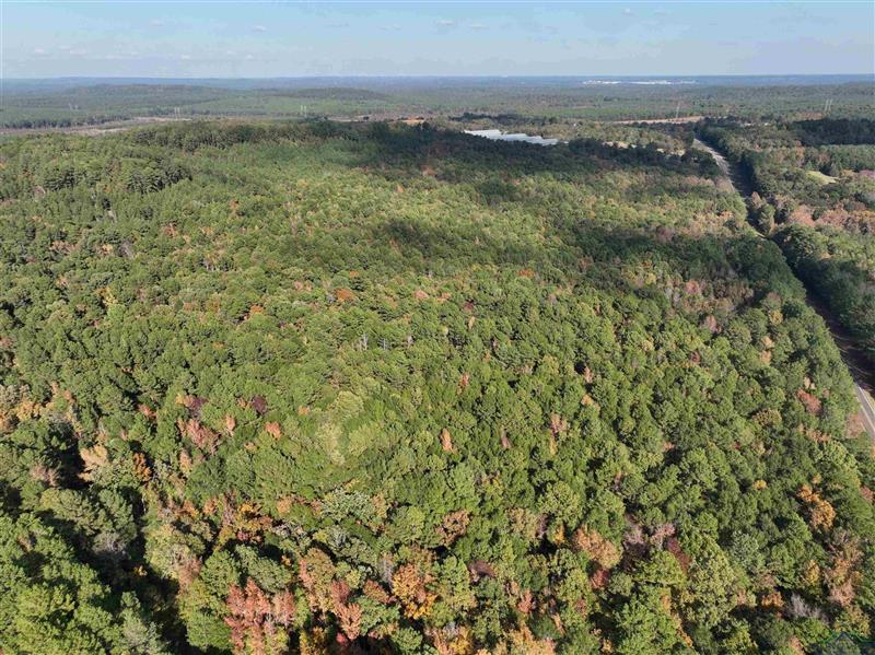 TBD  FM 2796 Tract 1 Pittsburg TX 75686 GILMER ISD 332