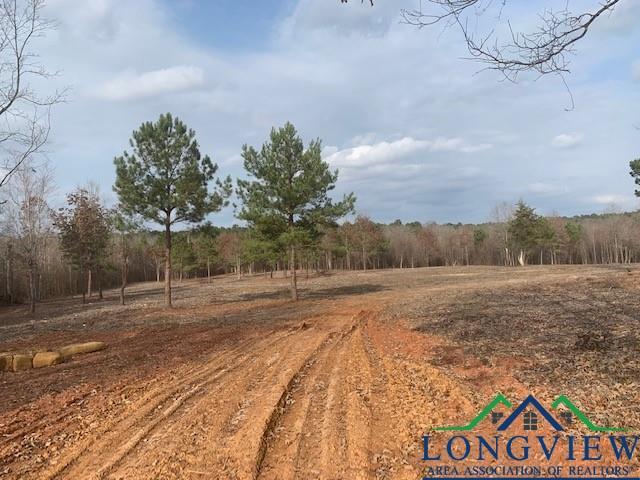 TBD E Hwy 49 Jefferson TX 75657 JEFFERSON ISD