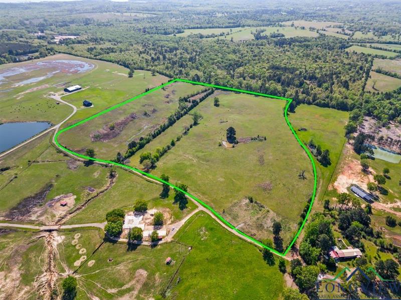 TBD  Wild Daisy Road 50 Acres Ore City TX 75683 ORE CITY ISD