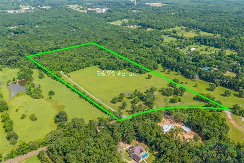TBD Tract 1  Maple Springs Road Hallsville TX 75650 HALLSVILLE ISD 223