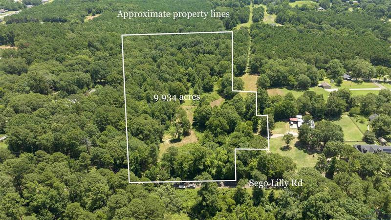 tbd  Sego Lily Diana TX 75640 NEW DIANA