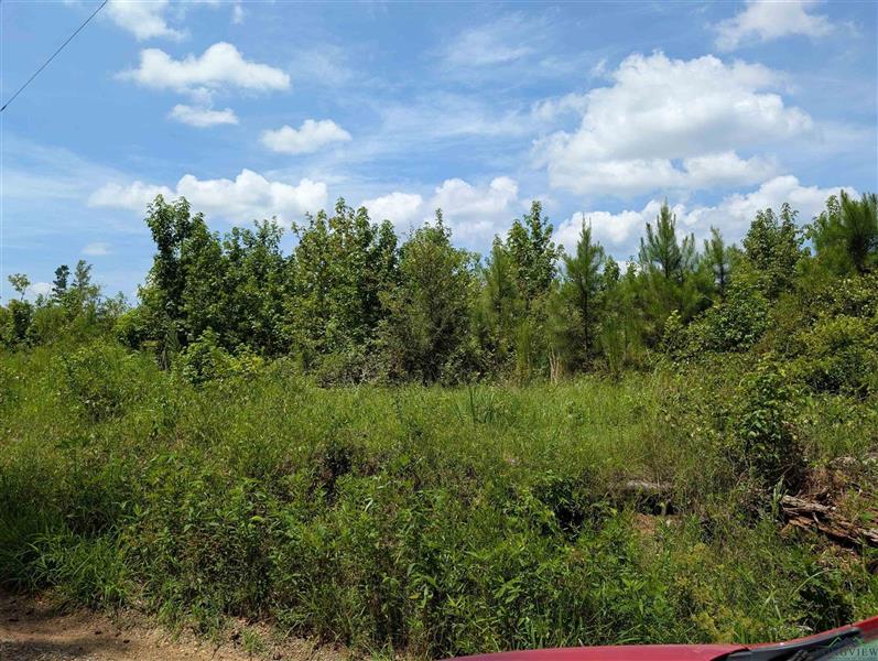 TBD  MT. Carmel Rd. Jefferson TX 75657 JEFFERSON ISD