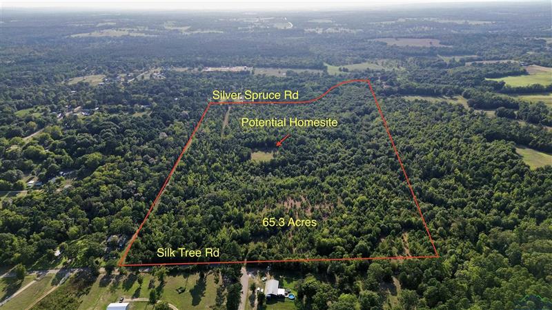 TBD  Silver Spruce Rd Gilmer TX 75645 OTHER