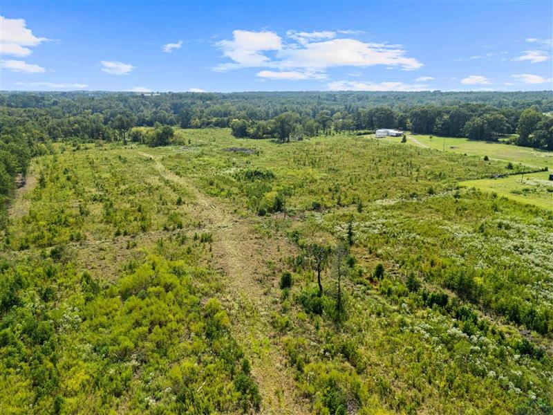 530  CR 1312 Pittsburg TX 75686 OTHER