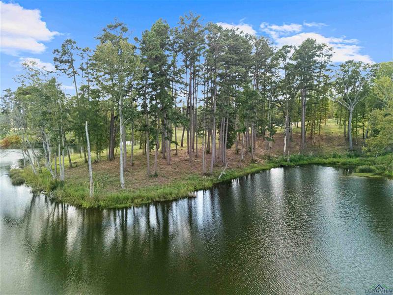Lot 5  TBD Granite Ln. Hallsville TX 75650 HALLSVILLE