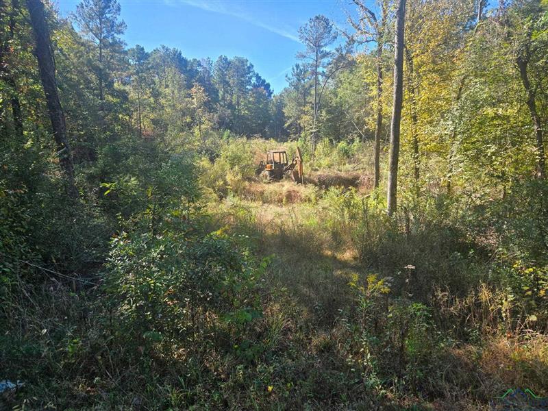    Marshall TX 75740 MARSHALL ISD