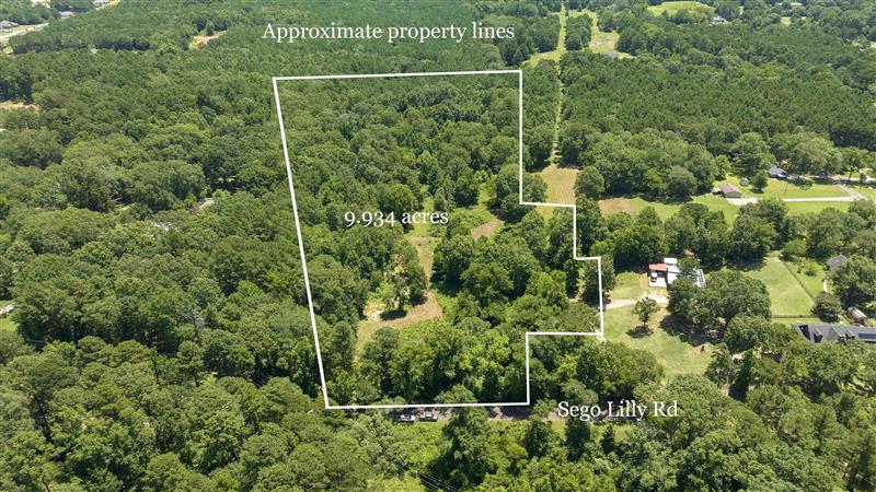 tbd  Sego Lily Diana TX 75640 NEW DIANA