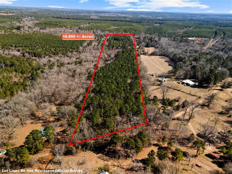 18.895 Ac  TBD Dreesen Rd. Jefferson TX 75657 MARION COUNTY