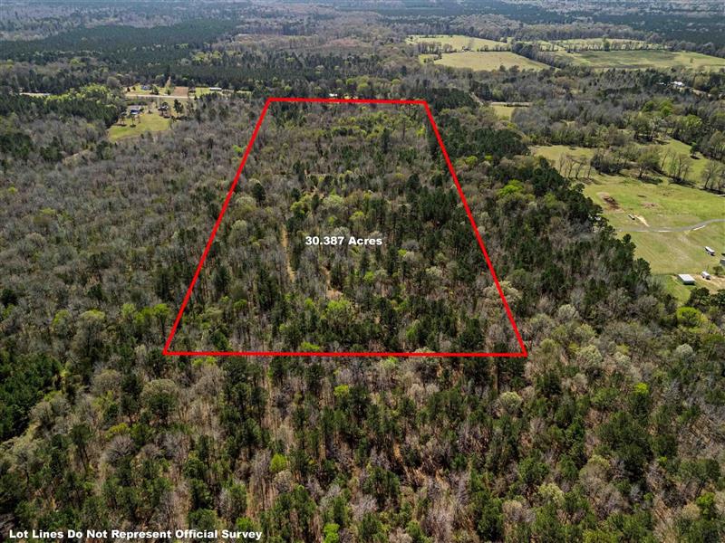 30 Ac TBD E Hwy 49 Jefferson TX 75657 MARION COUNTY