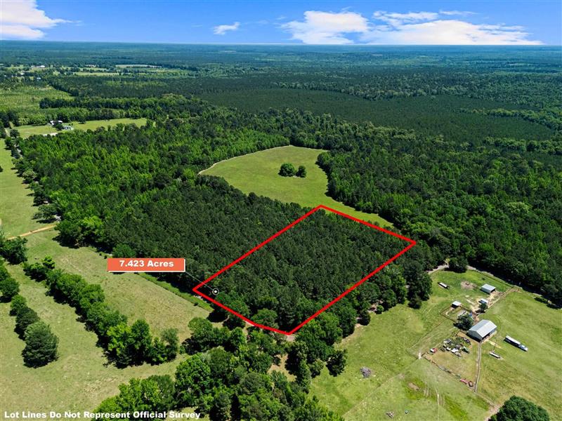 7.423 Ac  TBD CR 3300 Jefferson TX 75657 MARION COUNTY
