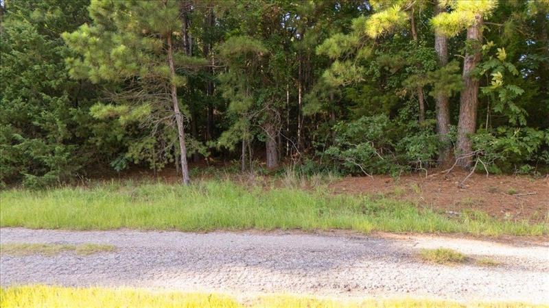 TBD  Nash Harleton TX 75651 HARLETON ISD 221
