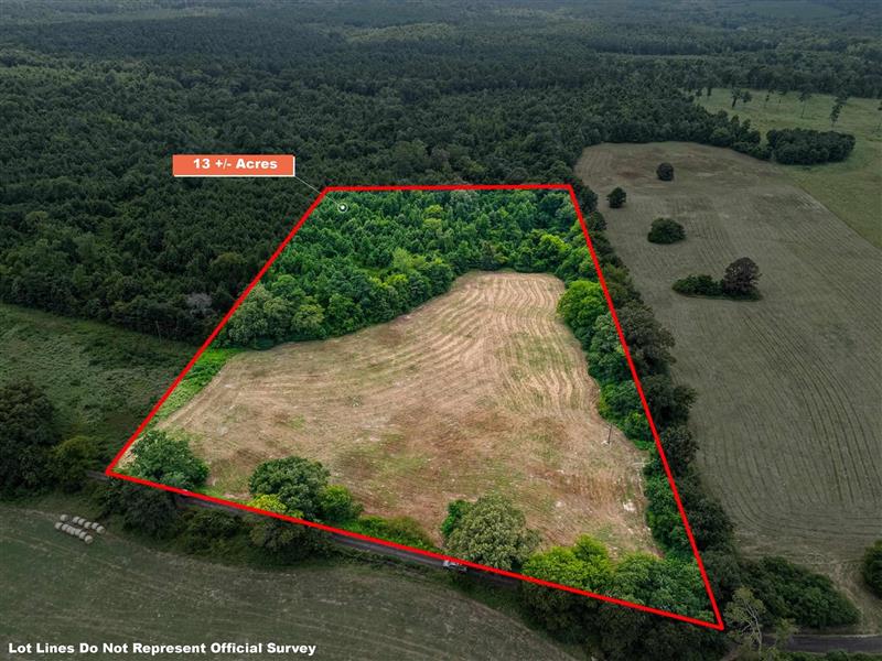 13 AC  Joe Davis Road Jefferson TX 75657 JEFFERSON ISD