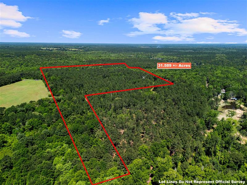 1392  CR 4564 Bivins TX 75555 MCLEOD ISD