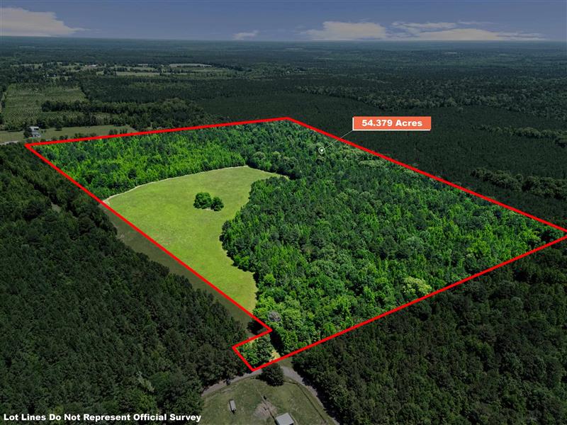 54.379 Ac  TBD CR 3300 Jefferson TX 75657 MARION COUNTY